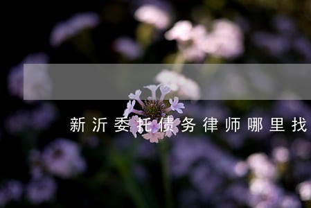 新沂委托债务律师哪里找 新沂委托债务律师哪里找