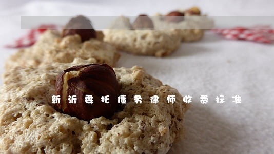 新沂委托债务律师收费标准 新沂委托债务律师收费标准