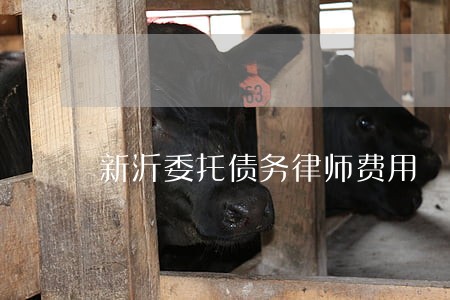 新沂委托债务律师费用 新沂委托债务律师费用
