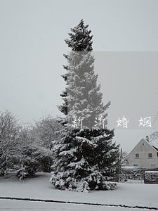 新沂婚姻律师哪里找 新沂婚姻律师哪里找