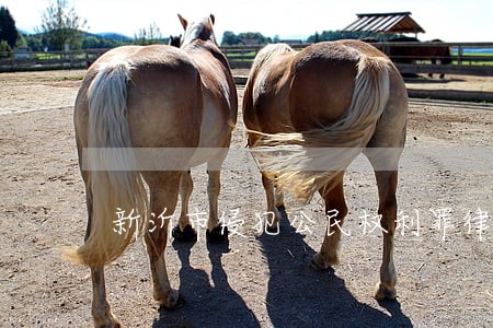 新沂市侵犯公民权利罪律师比较好 新沂市侵犯公民权利罪律师比较好