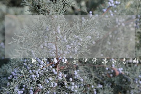 新沂市债务律师案件咨询