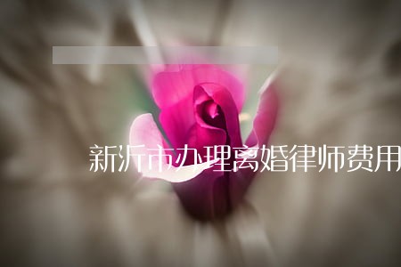 新沂市办理离婚律师费用 新沂市办理离婚律师费用