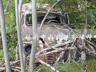 新沂市好的债务律师哪里找 新沂市好的债务律师哪里找