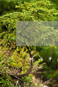 新沂市好的婚姻律师电话 新沂市好的婚姻律师电话