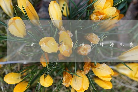新沂市找个债务律师免费咨询 新沂市找个债务律师免费咨询