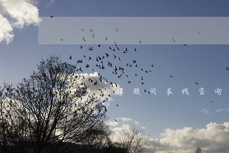 新沂市法律顾问在线咨询 新沂市法律顾问在线咨询