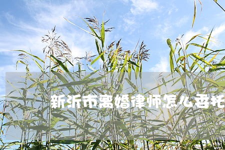 新沂市离婚律师怎么委托