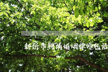 新沂市聘请婚姻律师电话