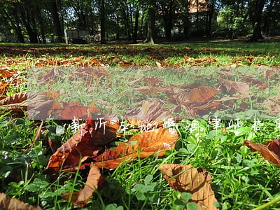 新沂本地婚姻律师费用 新沂本地婚姻律师费用