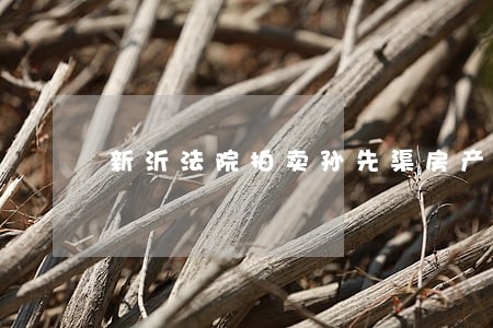 新沂法院拍卖孙先渠房产