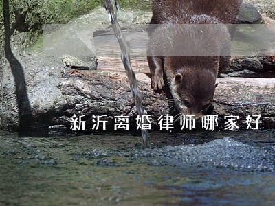 新沂离婚律师哪家好 新沂离婚律师哪家好