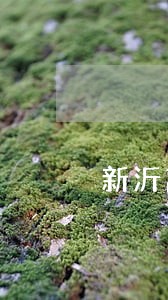 新沂离婚律师案件咨询