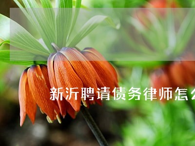 新沂聘请债务律师怎么委托