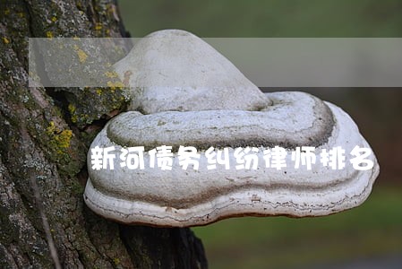 新河债务纠纷律师排名 新河债务纠纷律师排名