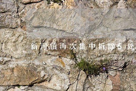 新河镇再次集中拆除6处违法建筑 新河镇再次集中拆除6处违法建筑