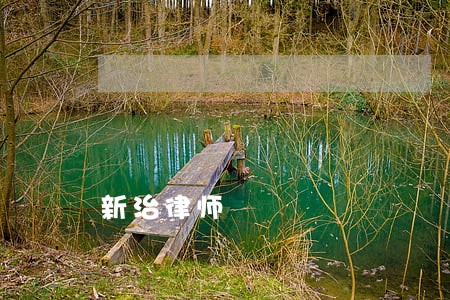 新治律师 新治律师
