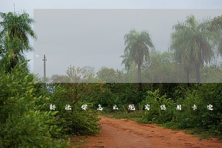 新法律怎么规定信用卡逾期 新法律怎么规定信用卡逾期