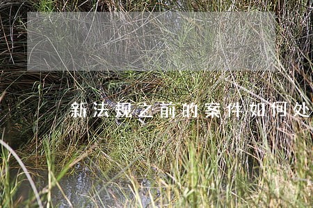 新法规之前的案件如何处理 新法规之前的案件如何处理