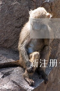 新注册公司逾期未申报 新注册公司逾期未申报