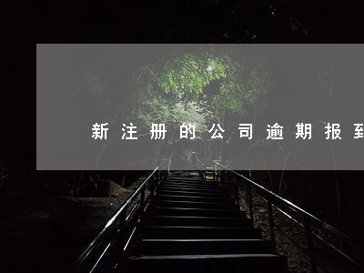 新注册的公司逾期报到 新注册的公司逾期报到