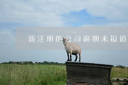 新注册的公司逾期未报道 新注册的公司逾期未报道