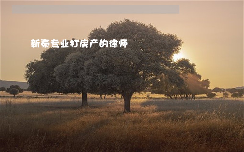 新泰专业打房产的律师 新泰专业打房产的律师