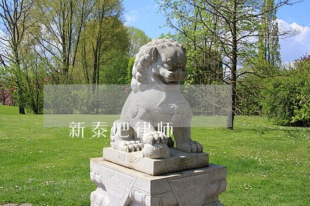 新泰吧律师 新泰吧律师