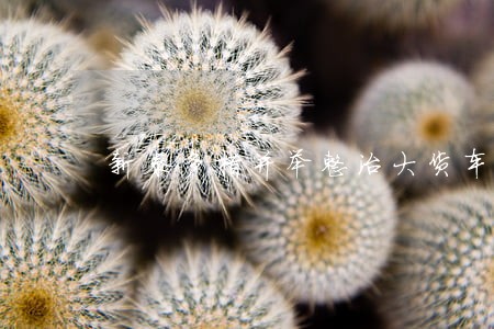 新泰多措并举整治大货车违法行为