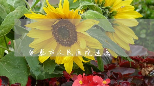 新泰市人民医院违法 新泰市人民医院违法