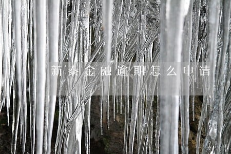 新泰金融逾期怎么申请 新泰金融逾期怎么申请
