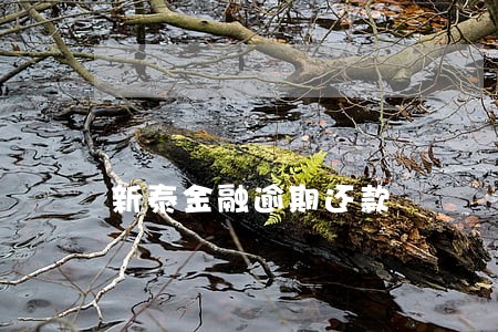 新泰金融逾期还款 新泰金融逾期还款