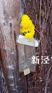新泾镇债务律师 新泾镇债务律师