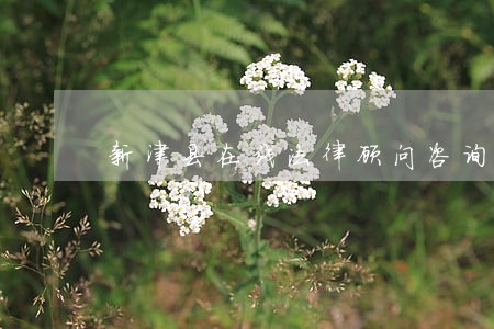 新津县在线法律顾问咨询 新津县在线法律顾问咨询