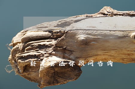 新津县法律顾问咨询 新津县法律顾问咨询