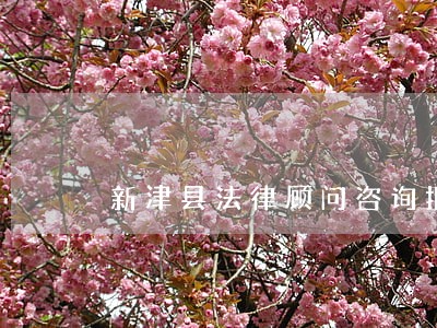 新津县法律顾问咨询报价