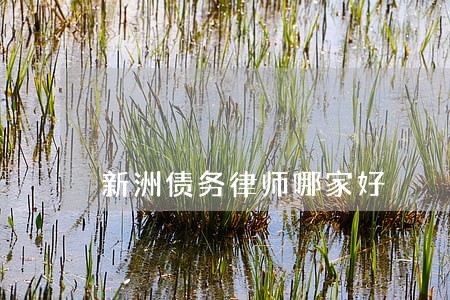 新洲债务律师哪家好 新洲债务律师哪家好