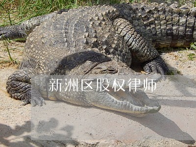 新洲区股权律师 新洲区股权律师