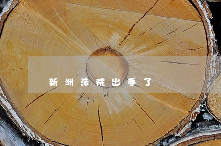 新洲法院出手了 新洲法院出手了