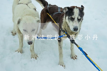新洲法院民二庭邬小丹 新洲法院民二庭邬小丹