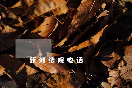 新洲法院电话 新洲法院电话