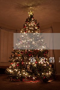 新浪借款平台逾期