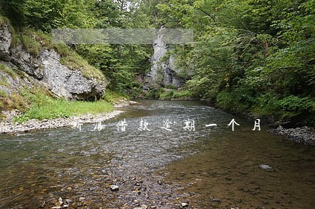 新浪借款逾期一个月 新浪借款逾期一个月