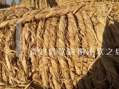 新浪借款逾期还款之后还能借到吗 新浪借款逾期还款之后还能借到吗