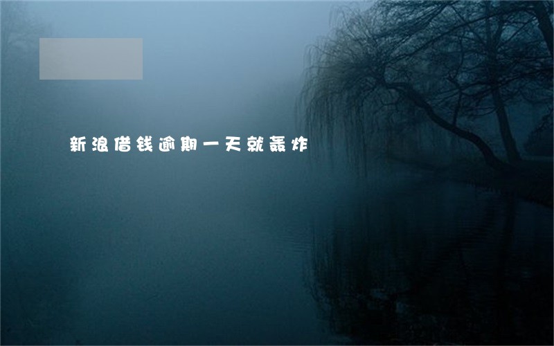 新浪借钱逾期一天就轰炸 新浪借钱逾期一天就轰炸