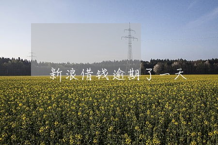新浪借钱逾期了一天 新浪借钱逾期了一天
