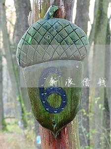 新浪借钱逾期了还完还能借吗 新浪借钱逾期了还完还能借吗