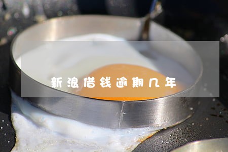 新浪借钱逾期几年 新浪借钱逾期几年
