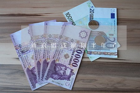 新浪借钱逾期半年了 新浪借钱逾期半年了