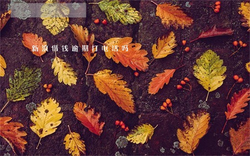 新浪借钱逾期打电话吗 新浪借钱逾期打电话吗